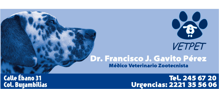 Gavito P�rez J. Francisco