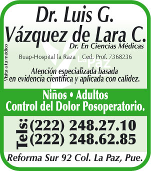 Vazquez de Lara C. Luis G.
