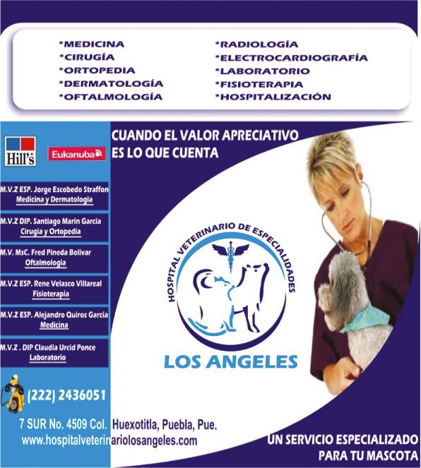 Hospital Veterinario de Especialidades Los �ngeles