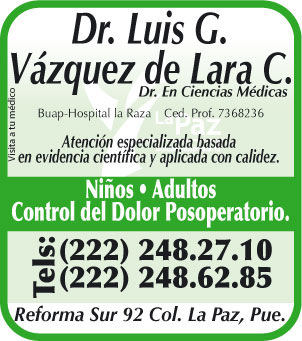 Luis G. V�zquez de Lara