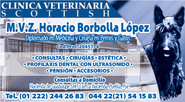 Cl�nica Veterinaria Scottish