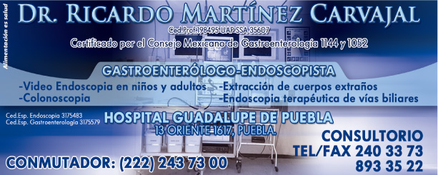 Mart�nez Carvajal Ricardo